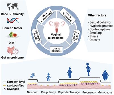 Host and Microbiome Interplay Shapes the Vaginal Microenvironment